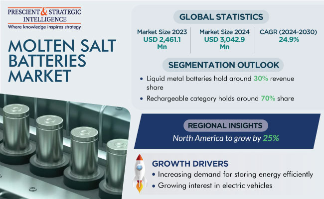 Molten Salt Batteries Market Size & Growth Report, 2024-2030
